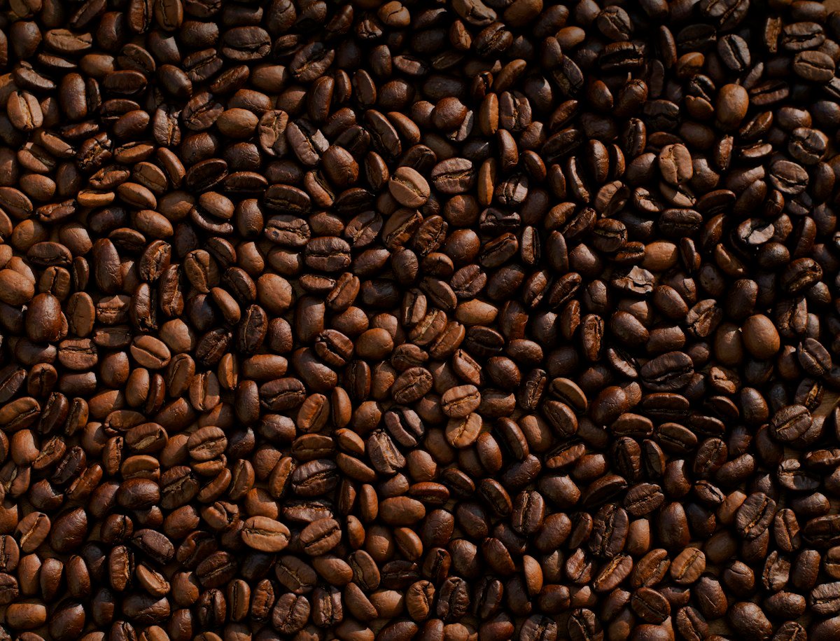 Brente kaffebønner i varme brune toner